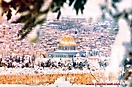 palestine_20