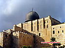 palestine_26