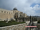 palestine_27