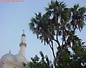 Mosque_wallpapers_2_87