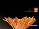 Muhammad_PBUH_wallpapers_66