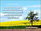 Hadith_Wallpapers_148