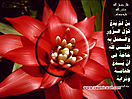 Hadith_Wallpapers_178