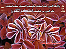 Hadith_Wallpapers_183