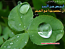 Hadith_Wallpapers_185