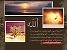 Quran_ayat_79