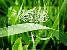 vista_islamic_14