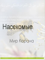 Насекомые. Мир Корана