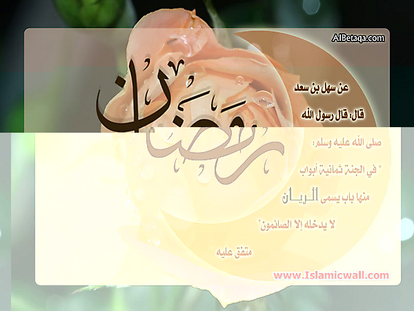 Hadith_Wallpapers_155