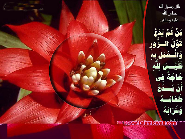 Hadith_Wallpapers_178