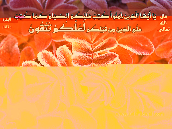 Hadith_Wallpapers_183