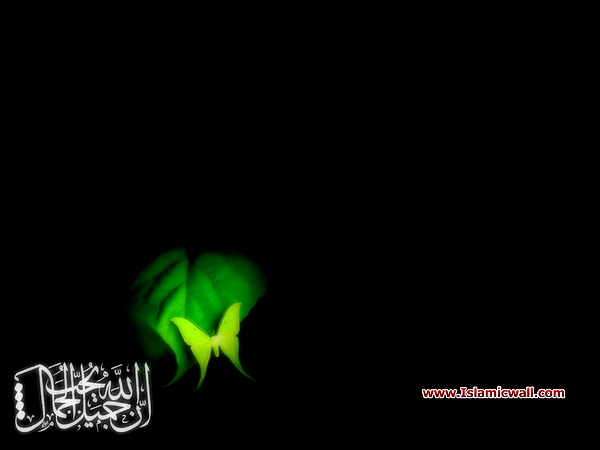 islamic_design_42