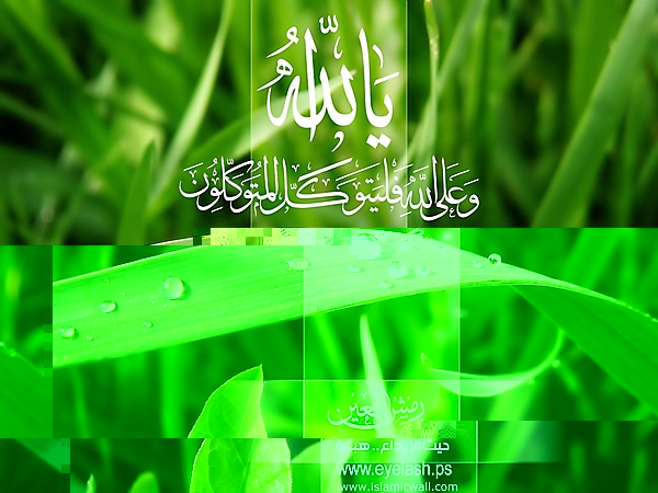 vista_islamic_3